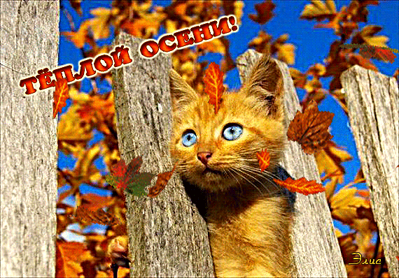 С началом осени