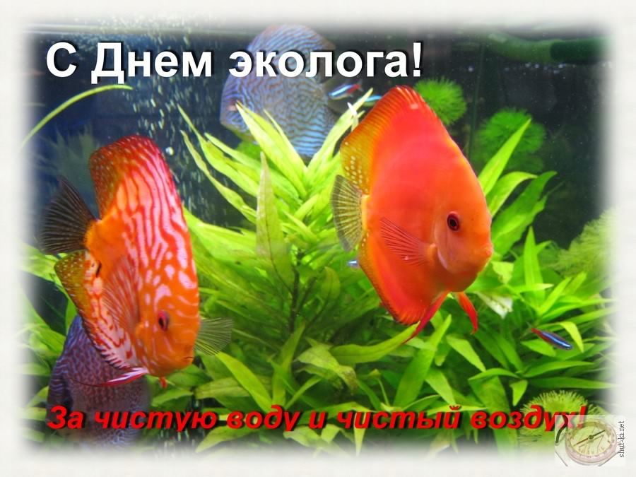 день эколога. открытки к празднику