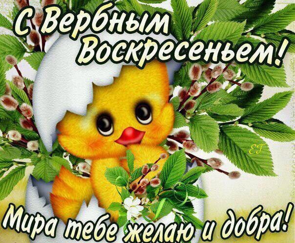 открытки на вербное воскресенье. пожелания к празднику вербное воскресенье