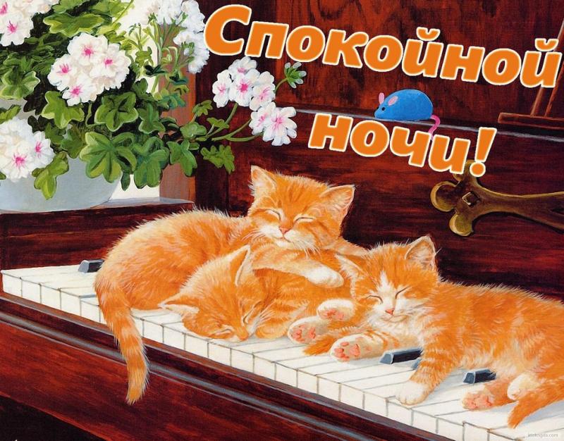 спокойной ночи. открытки с пожеланием спокойной ночи. приятных снов. сладких снов. приятных сновидений. доброй ночи. нежных снов. волшебных снов. спите сладко 