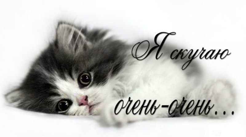 открытки я скучаю. мне скучно без тебя. я соскучилась по тебе . i miss you.