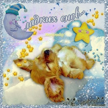 спокойной ночи. открытки с пожеланием спокойной ночи. приятных снов. сладких снов. приятных сновидений. доброй ночи. нежных снов. волшебных снов. спите сладко 