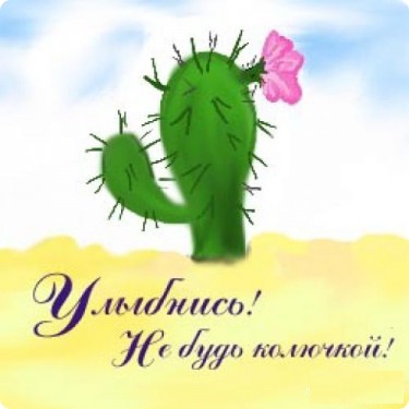 улыбнись. улыбайся. smile. улыбка. улыбайся и мир улыбнется тебе