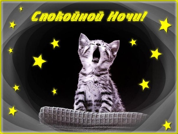 спокойной ночи. открытки с пожеланием спокойной ночи. приятных снов. сладких ...