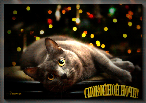 спокойной ночи. открытки с пожеланием спокойной ночи. приятных снов. сладких снов. приятных сновидений. доброй ночи. нежных снов. волшебных снов. спите сладко 