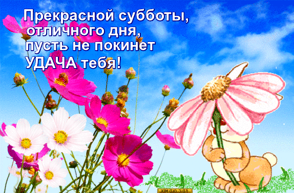 Хорошего субботнего дня