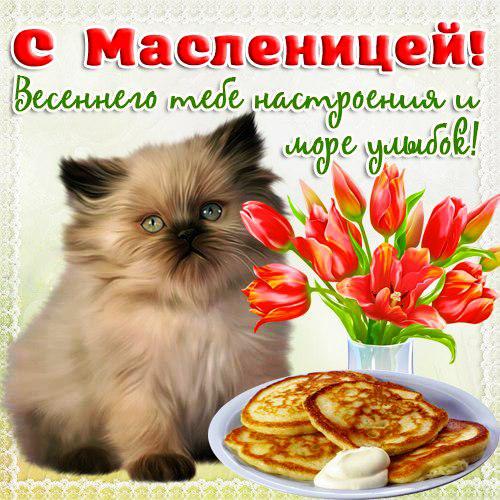 открытки с масленицей. пожелания к празднику. блинчики. чучело. весна идет