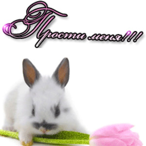 прости. прости меня. открытки прости. прости пожалуйста. прости меня пожалуйста. ты меня простишь? извини пожалуйста. давай помиримся. прости я больше так не буду