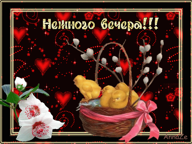 добрый вечер. приятного вечера. доброго вам вечера. хорошего вечера. приятног...