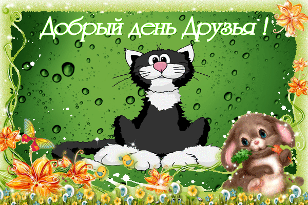 добрый день. открытки добрый день.доброго дня. хорошего дня. удачного дня