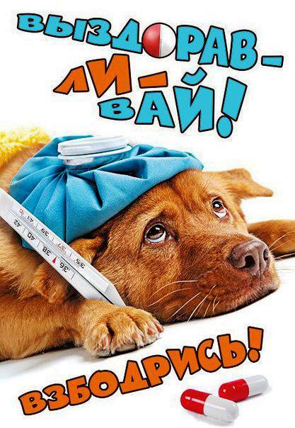 выздоравливай. желаю скорейшего выздоровления. не болей