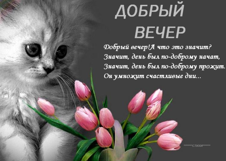 добрый вечер. приятного вечера. доброго вам вечера. хорошего вечера. приятног...