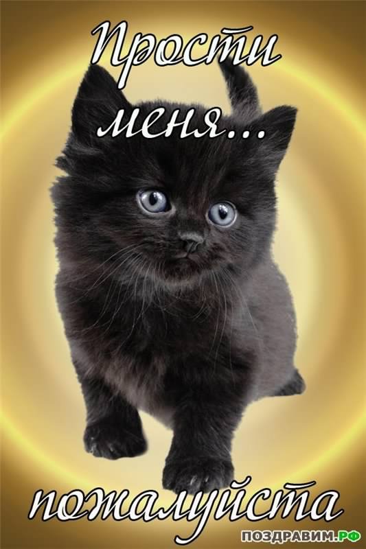 прости. прости меня. открытки прости. прости пожалуйста. прости меня пожалуйс...