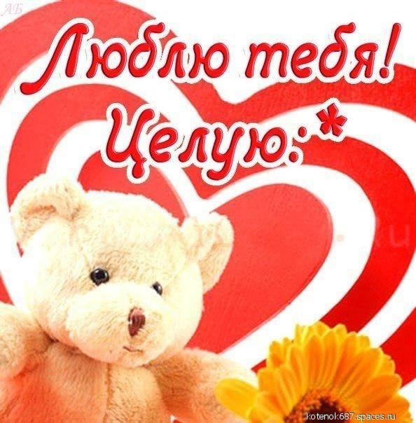 открытки целую, целую много раз