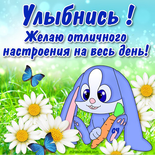 улыбнись. улыбайся. smile. улыбка. улыбайся и мир улыбнется тебе