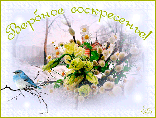 открытки на вербное воскресенье. пожелания к празднику вербное воскресенье