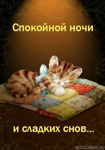 спокойной ночи. открытки с пожеланием спокойной ночи. приятных снов. сладких ...