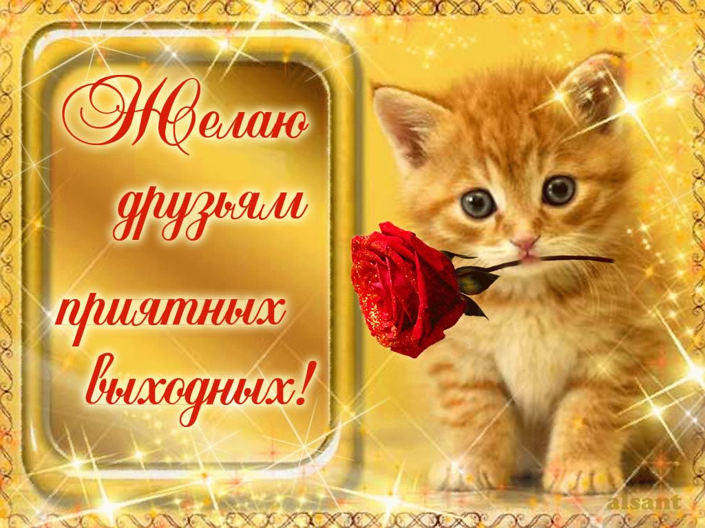 Приятных выходных