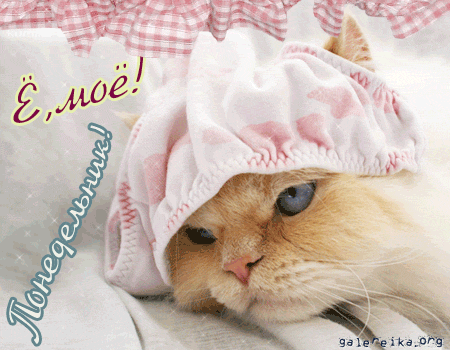 понедельник. открытки к понедельнику. опять понедельник. легкого