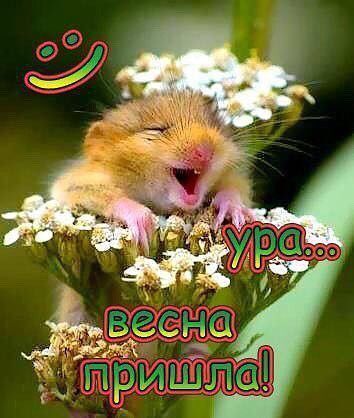 Весенние открытки