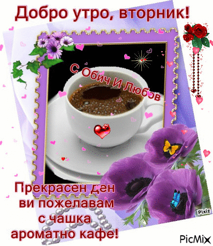 вторник. с добрым вторником.