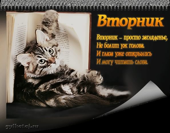 Открытки вторник. с добрым вторником. вторник. с добрым вторником.