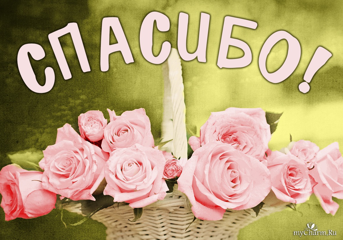 открытки спасибо, thank you, merci, благодарю тебя, большое спасибо