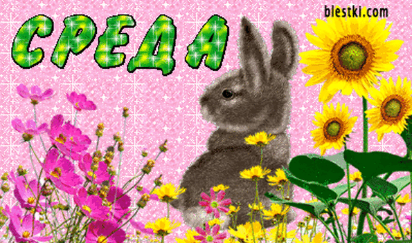 С веселой средой