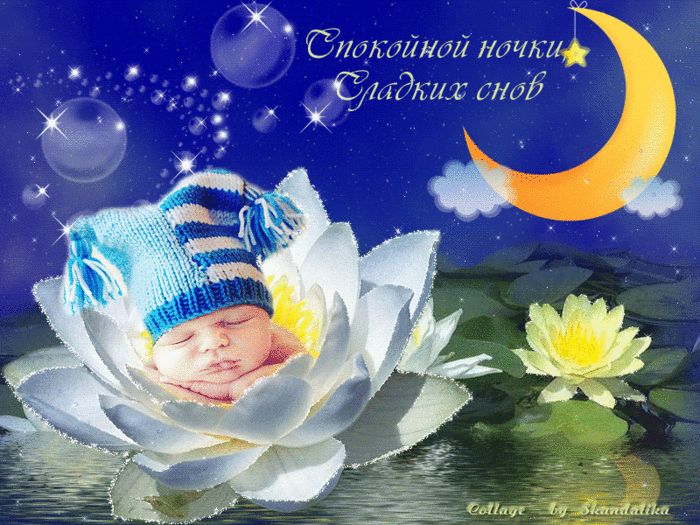 спокойной ночи. открытки с пожеланием спокойной ночи. приятных снов. сладких ...