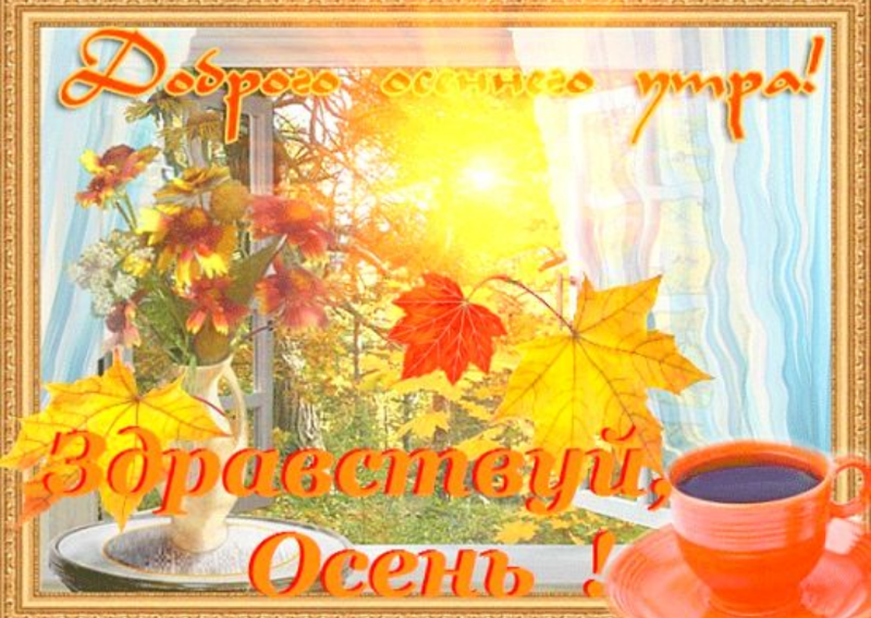 С первым днем осени. Доброе утро с первым днем осени. Доброе утро с первым осенним дне. Доброе осеннее утро сентября.