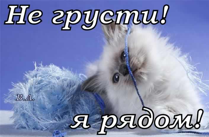 не грусти. не скучай. все будет хорошо. улыбнись. все пройдет