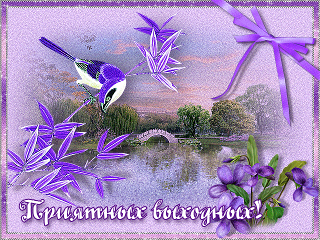 Приятных выходных