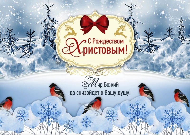 Без названия