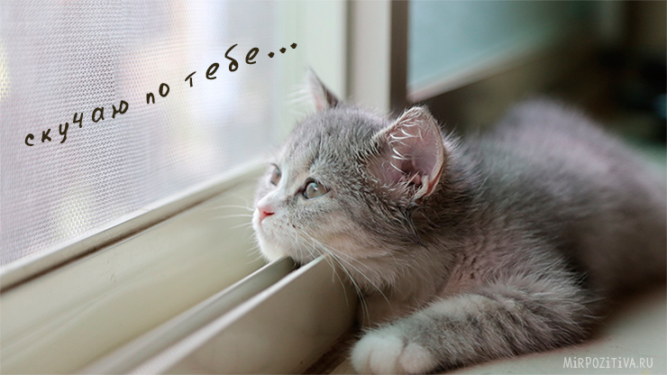 открытки я скучаю. мне скучно без тебя. я соскучилась по тебе . i miss you.