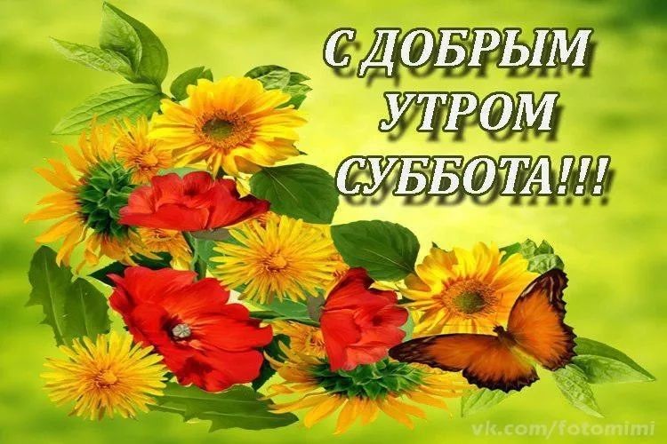 Хорошего субботнего дня