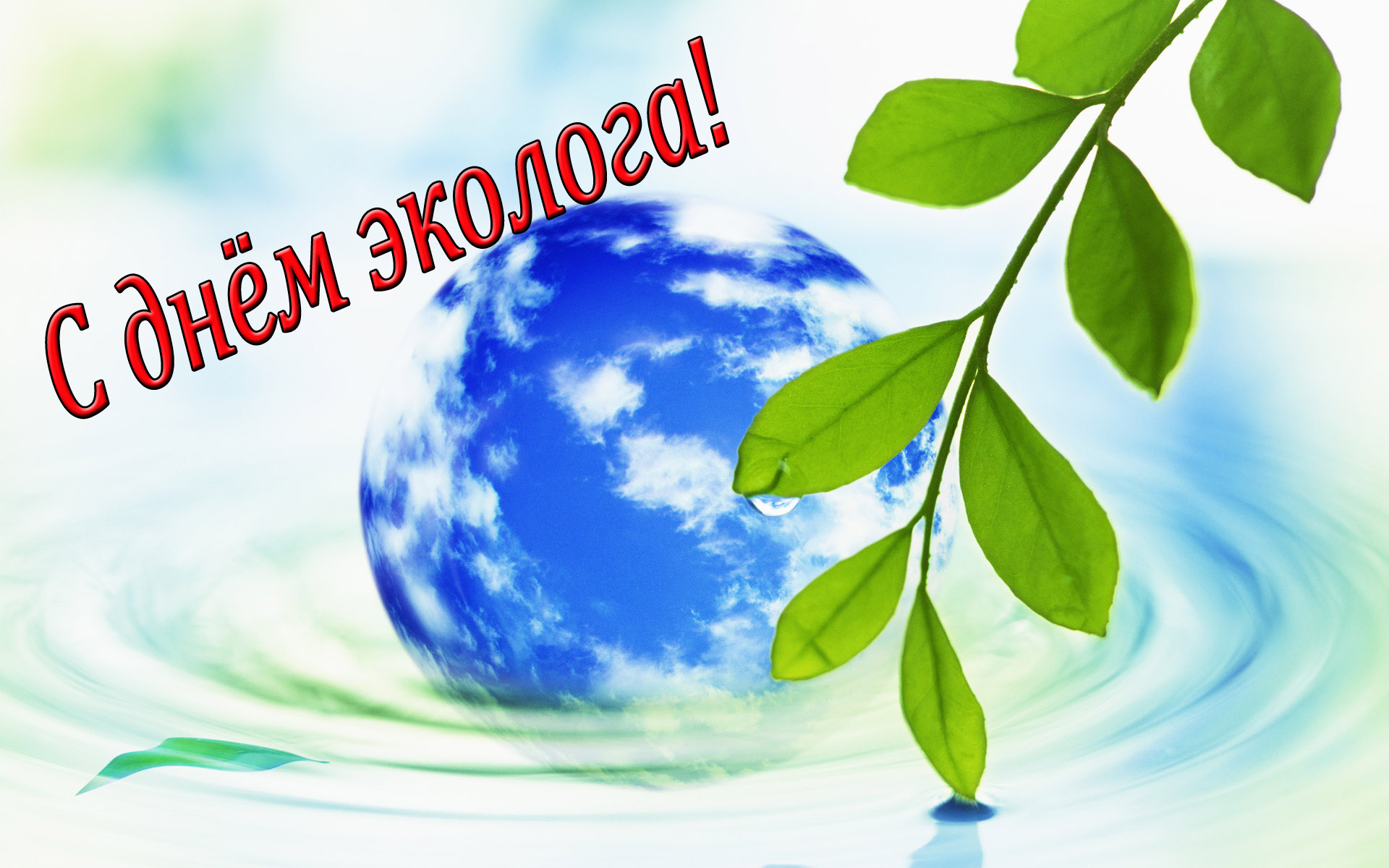 Картинки к дню эколога