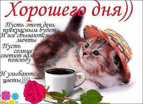 добрый день. открытки добрый день.доброго дня. хорошего дня. удачного дня