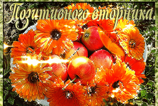 вторник. с добрым вторником.