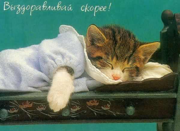 выздоравливай. желаю скорейшего выздоровления. не болей