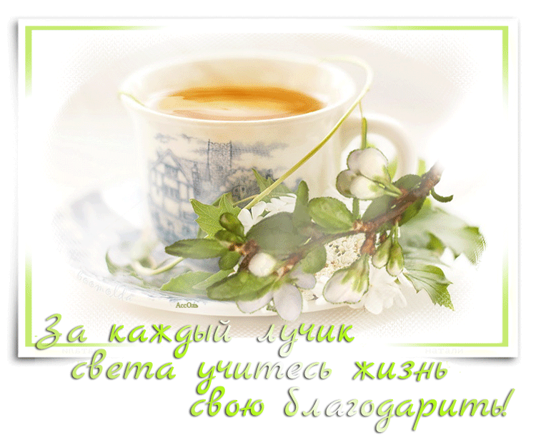 доброе утро. открытки с добрым утром. с добрым утром. желаю доброго утра