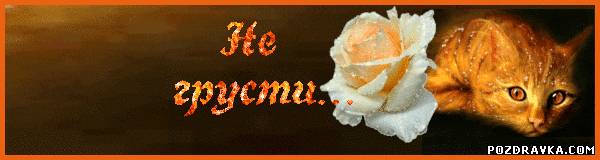 не грусти. не скучай. все будет хорошо. улыбнись. все пройдет