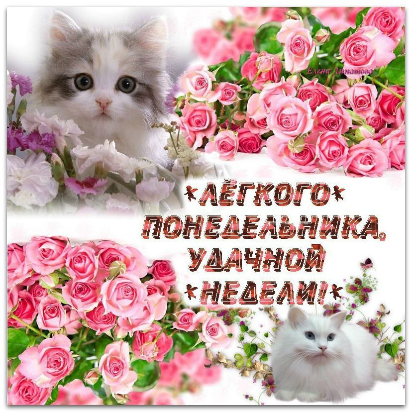 понедельник. открытки к понедельнику. опять понедельник. легкого