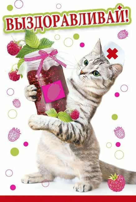 выздоравливай. желаю скорейшего выздоровления. не болей