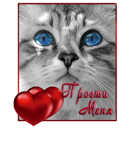 прости. прости меня. открытки прости. прости пожалуйста. прости меня пожалуйс...