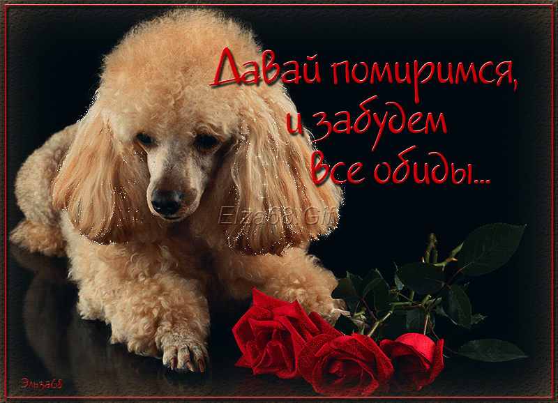 прости. прости меня. открытки прости. прости пожалуйста. прости меня пожалуйс...