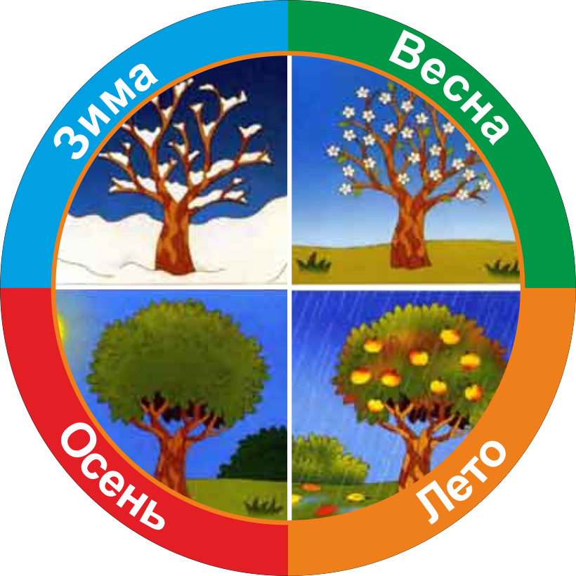 времена года
