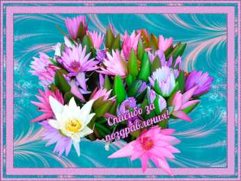 спасибо открытки спасибо, thank you, merci, благодарю тебя, большое спасибо