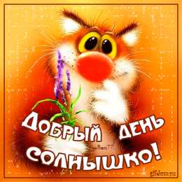 добрый день добрый день. открытки добрый день.доброго дня. хорошего дня. удачного дня