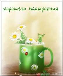 Открытки выздоравливай выздоравливай. желаю скорейшего выздоровления. не болей выздоравливай. желаю скорейшего выздоровления. не болей