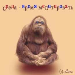 среда С веселой средой